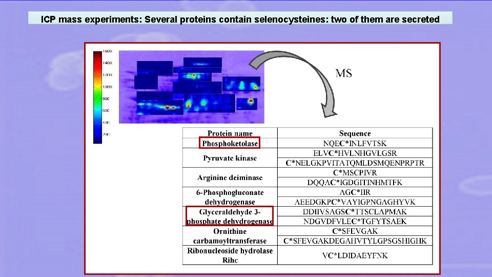 ICP mass experiments: Several proteins contain selenocysteines: two of them are secreted 