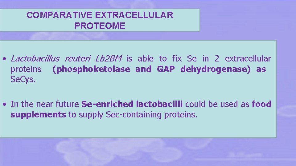 COMPARATIVE EXTRACELLULAR PROTEOME • Lactobacillus reuteri Lb 2 BM is able to fix Se