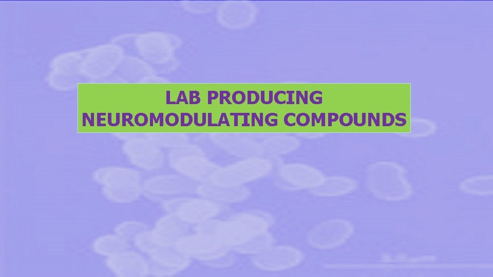 LAB PRODUCING NEUROMODULATING COMPOUNDS 