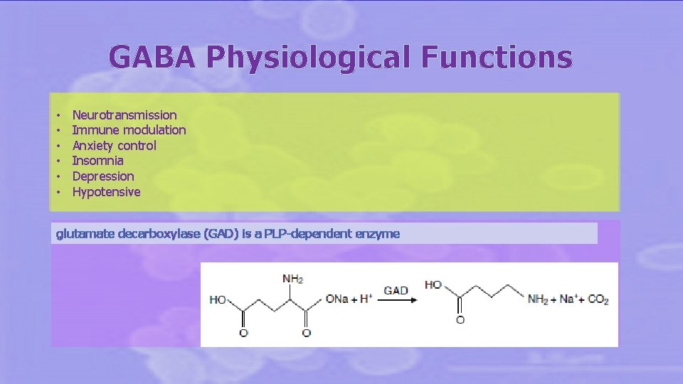 GABA Physiological Functions • • • Neurotransmission Immune modulation Anxiety control Insomnia Depression Hypotensive