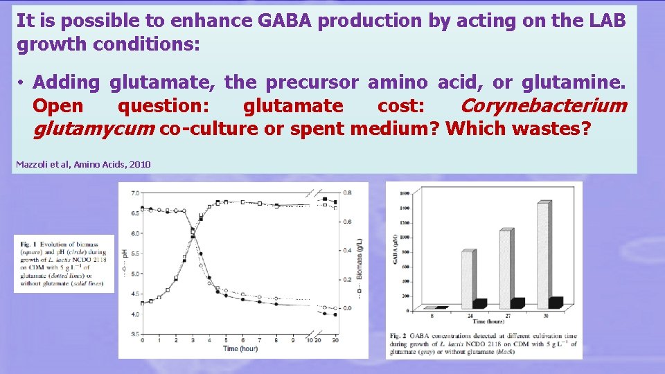 It is possible to enhance GABA production by acting on the LAB growth conditions: