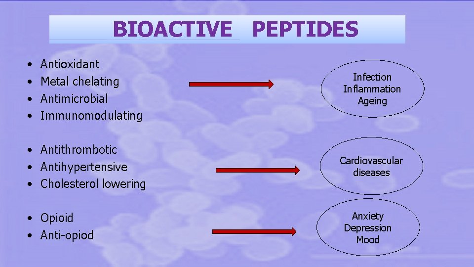 BIOACTIVE PEPTIDES • • Antioxidant Metal chelating Antimicrobial Immunomodulating • Antithrombotic • Antihypertensive •