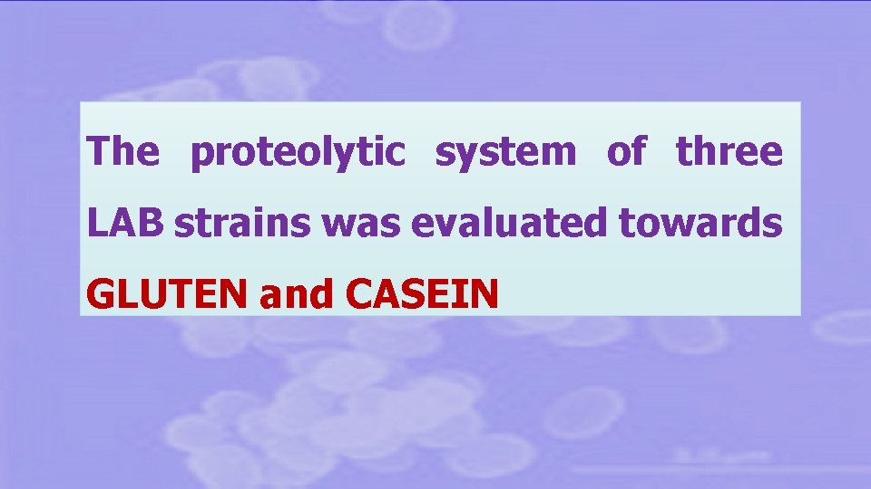 The proteolytic system of three LAB strains was evaluated towards GLUTEN and CASEIN 