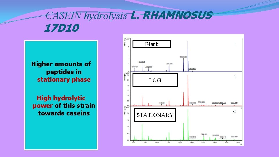 CASEIN hydrolysis L. RHAMNOSUS 17 D 10 Blank Higher amounts of peptides in stationary