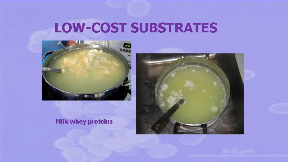 LOW-COST SUBSTRATES Milk whey proteins 
