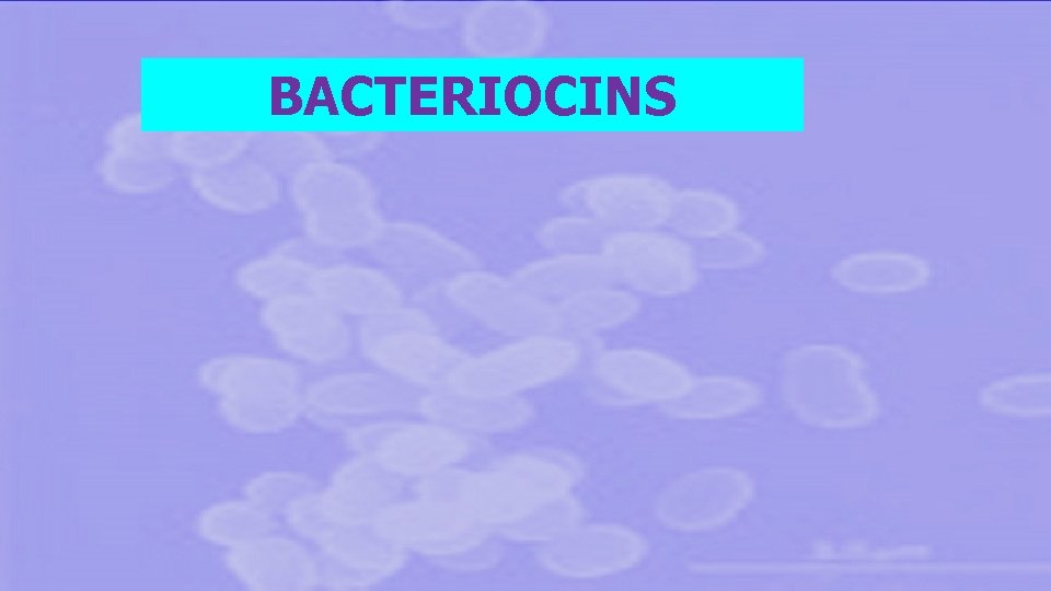 BACTERIOCINS 