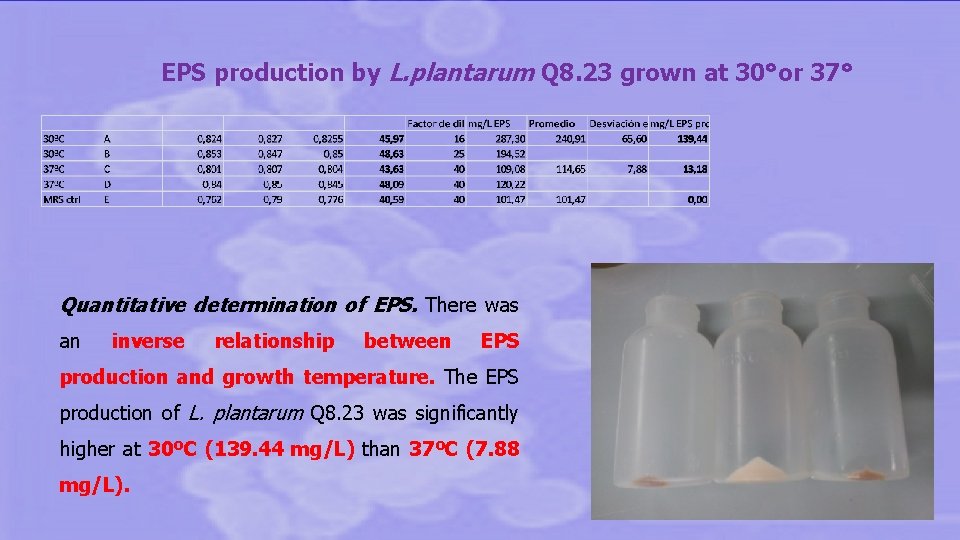 EPS production by L. plantarum Q 8. 23 grown at 30°or 37° Quantitative determination