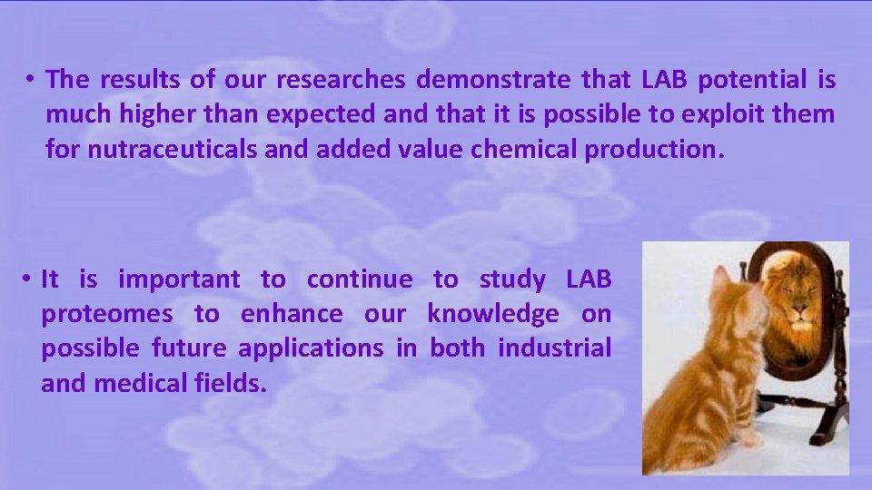  • The results of our researches demonstrate that LAB potential is much higher