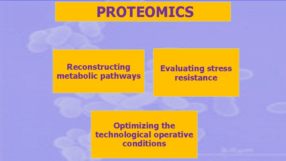 PROTEOMICS Reconstructing metabolic pathways Evaluating stress resistance Optimizing the technological operative conditions 