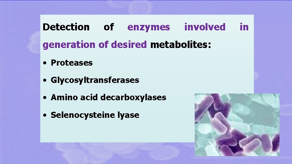 Detection of enzymes involved generation of desired metabolites: • Proteases • Glycosyltransferases • Amino