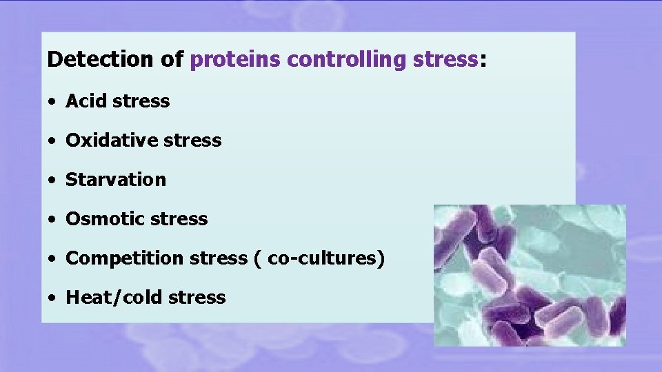 Detection of proteins controlling stress: • Acid stress • Oxidative stress • Starvation •