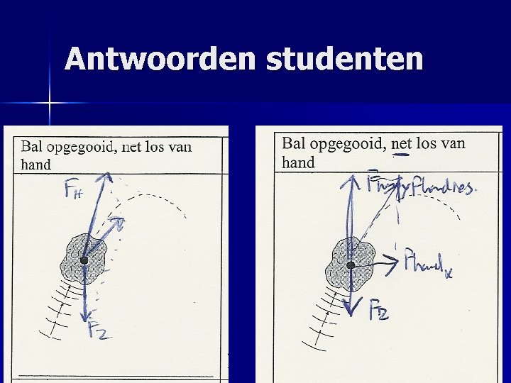 Antwoorden studenten 