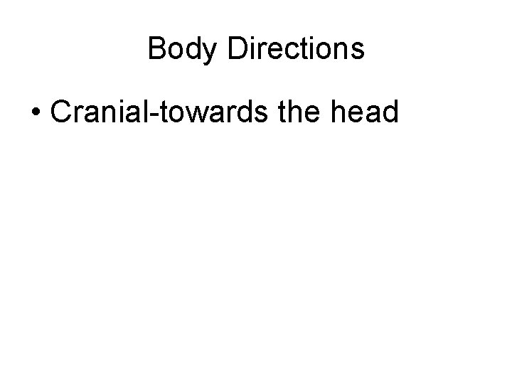Body Directions • Cranial-towards the head 