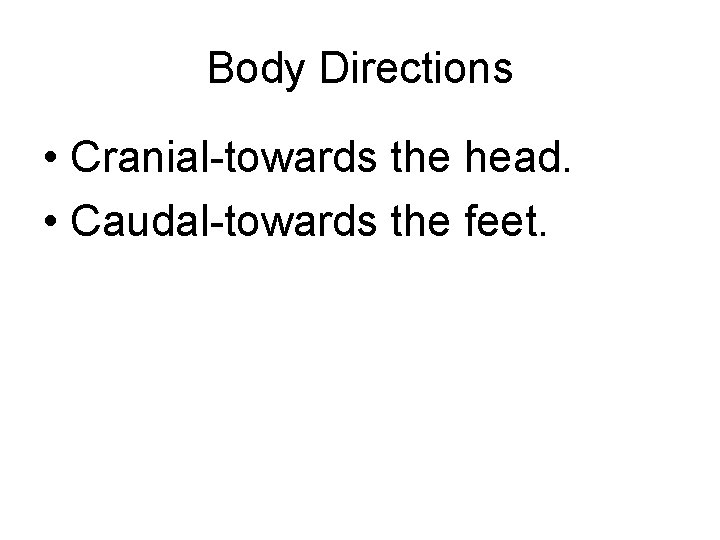 Body Directions • Cranial-towards the head. • Caudal-towards the feet. 