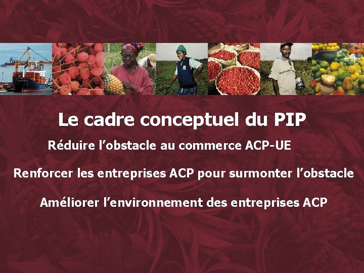 Le cadre conceptuel du PIP Réduire l’obstacle au commerce ACP-UE Renforcer les entreprises ACP