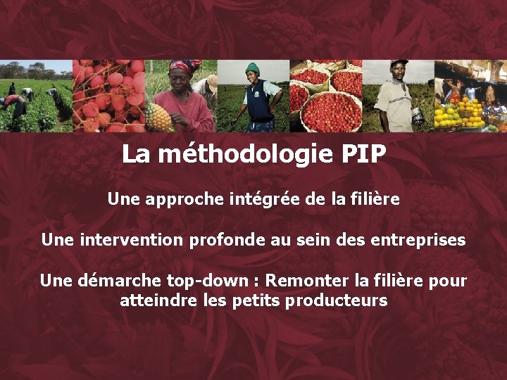 La méthodologie PIP Une approche intégrée de la filière Une intervention profonde au sein