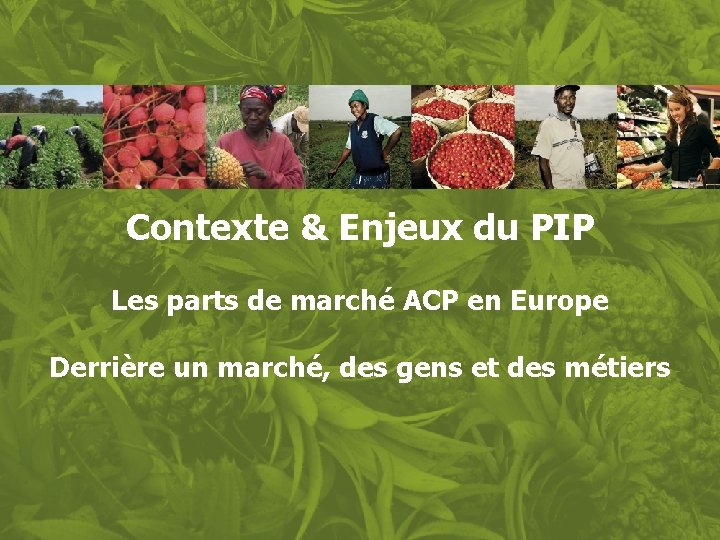 Contexte & Enjeux du PIP Les parts de marché ACP en Europe Derrière un