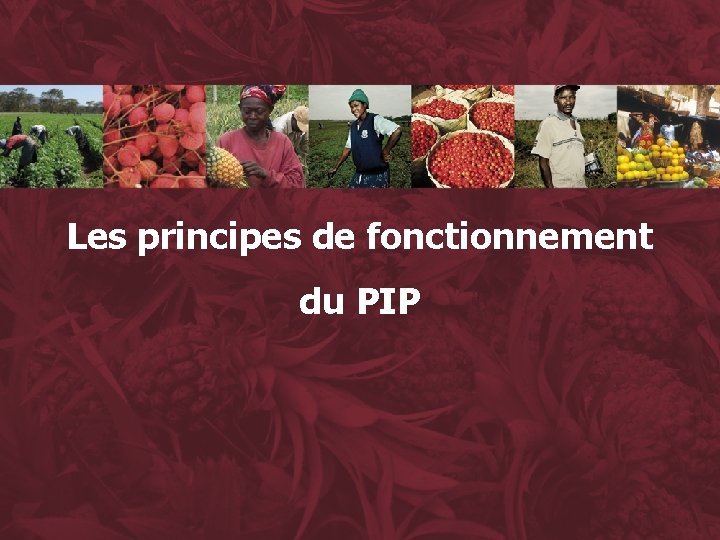 Les principes de fonctionnement du PIP 22 