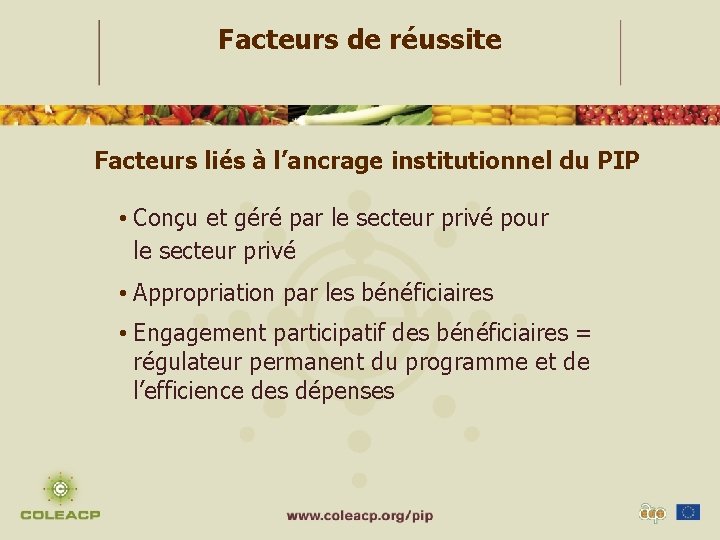 Facteurs de réussite Facteurs liés à l’ancrage institutionnel du PIP • Conçu et géré