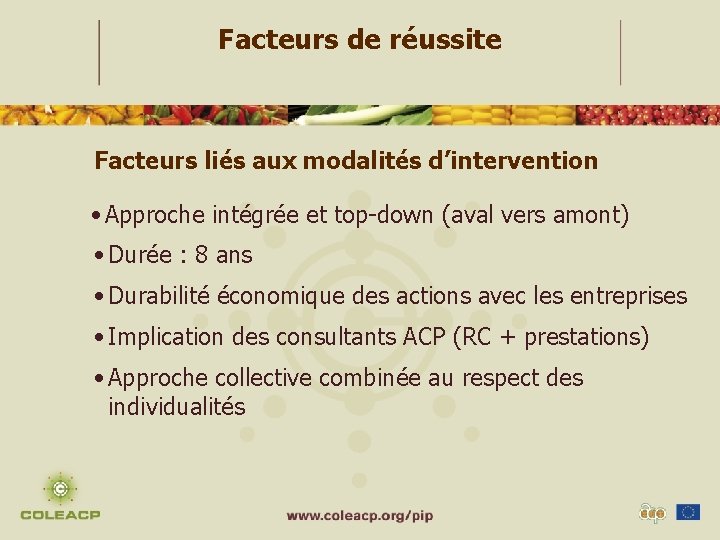 Facteurs de réussite Facteurs liés aux modalités d’intervention • Approche intégrée et top-down (aval