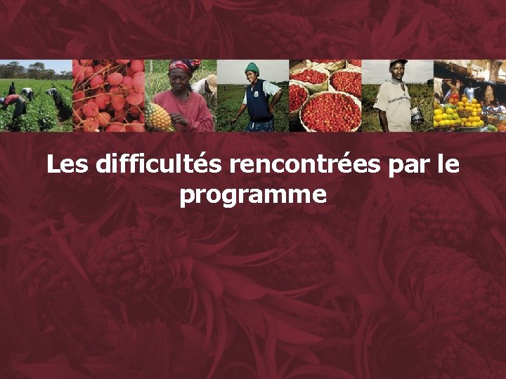 Les difficultés rencontrées par le programme 29 