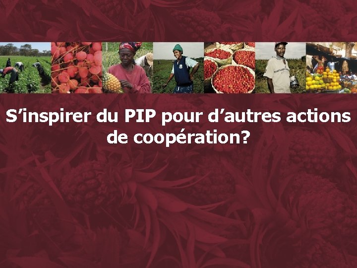 S’inspirer du PIP pour d’autres actions de coopération? 31 