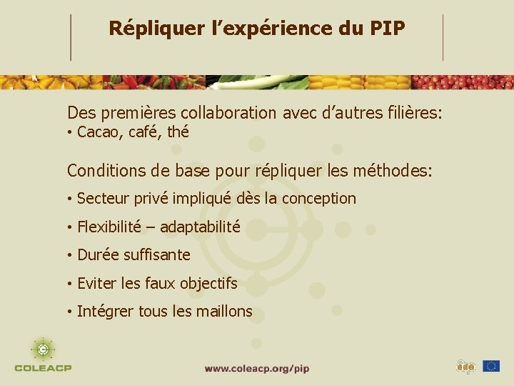 Répliquer l’expérience du PIP Des premières collaboration avec d’autres filières: • Cacao, café, thé