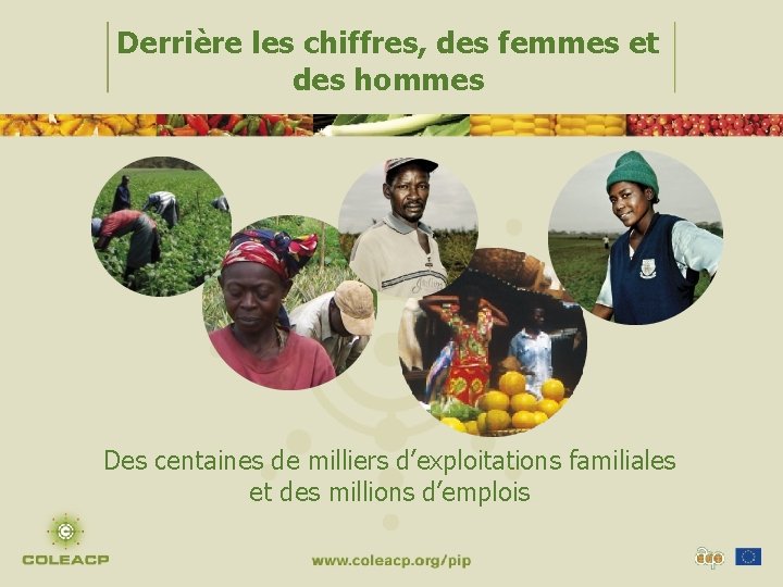 Derrière les chiffres, des femmes et des hommes Des centaines de milliers d’exploitations familiales