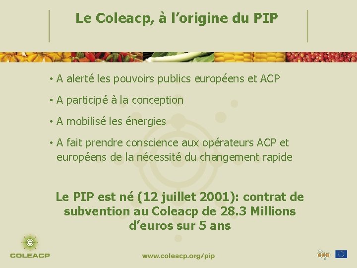 Le Coleacp, à l’origine du PIP • A alerté les pouvoirs publics européens et