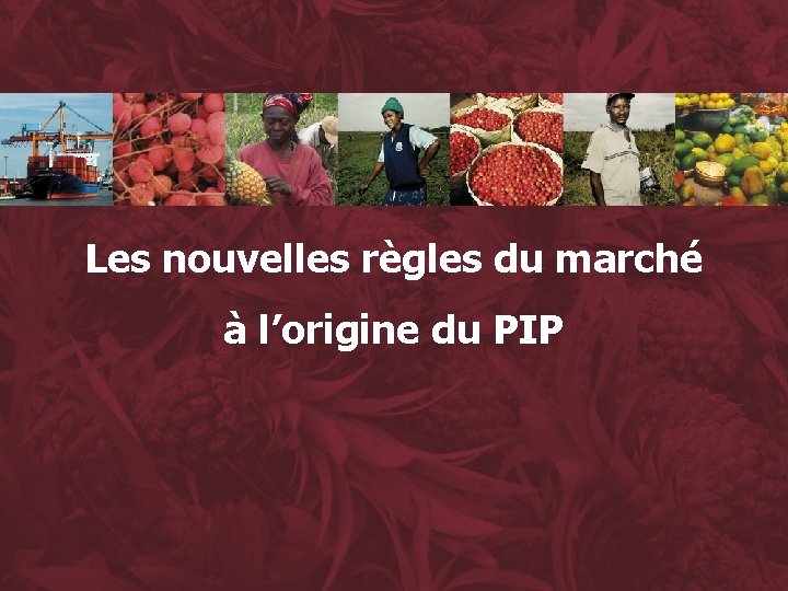 Les nouvelles règles du marché à l’origine du PIP 9 