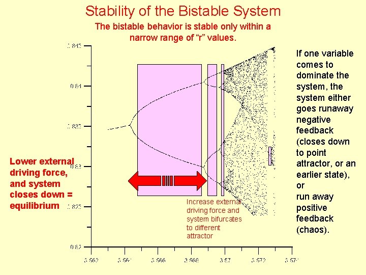 Stability of the Bistable System The bistable behavior is stable only within a narrow