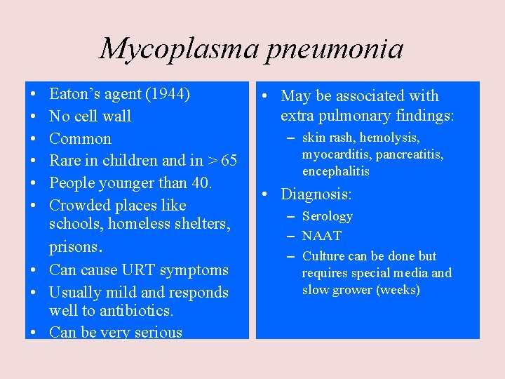 Mycoplasma pneumonia • • • Eaton’s agent (1944) No cell wall Common Rare in