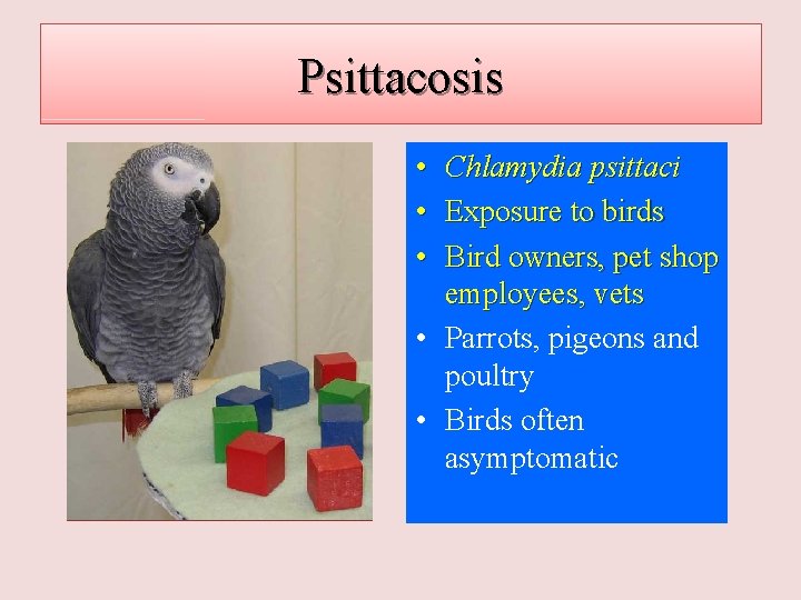 Psittacosis • • • Chlamydia psittaci Exposure to birds Bird owners, pet shop employees,