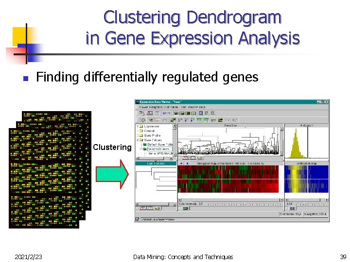 Clustering Dendrogram in Gene Expression Analysis n Finding differentially regulated genes Clustering 2021/2/23 Data