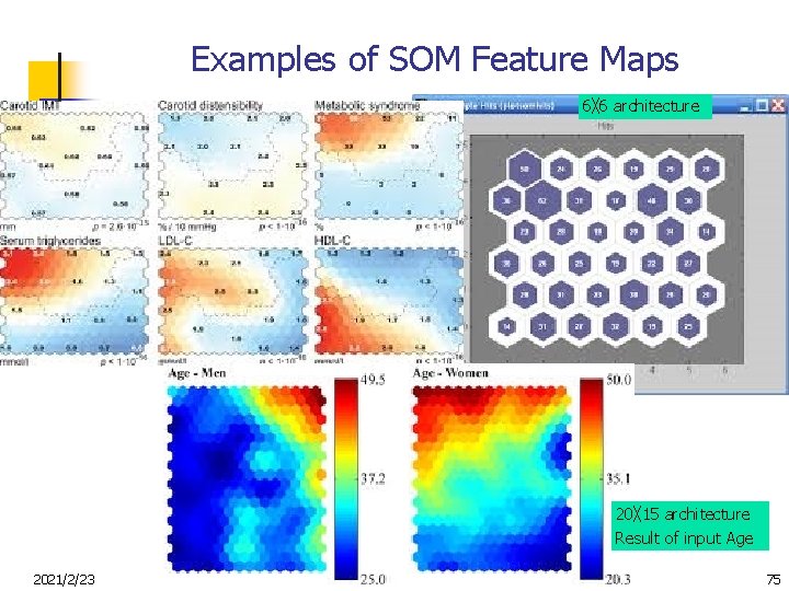 Examples of SOM Feature Maps 6╳ 6 architecture 20╳ 15 architecture Result of input