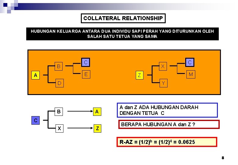 COLLATERAL RELATIONSHIP HUBUNGAN KELUARGA ANTARA DUA INDIVIDU SAPI PERAH YANG DITURUNKAN OLEH SALAH SATU