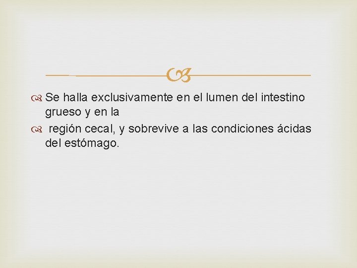  Se halla exclusivamente en el lumen del intestino grueso y en la región