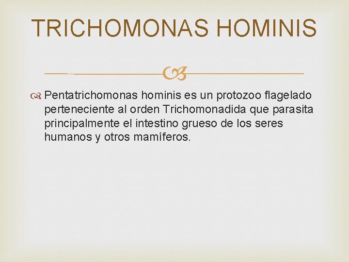 TRICHOMONAS HOMINIS Pentatrichomonas hominis es un protozoo flagelado perteneciente al orden Trichomonadida que parasita