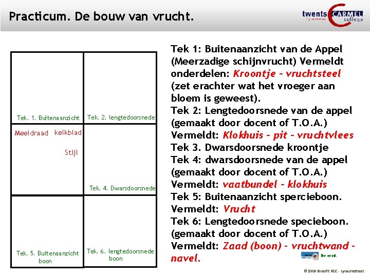 Practicum. De bouw van vrucht. Tek. 1. Buitenaanzicht Tek. 2. lengtedoorsnede Meeldraad kelkblad Stijl