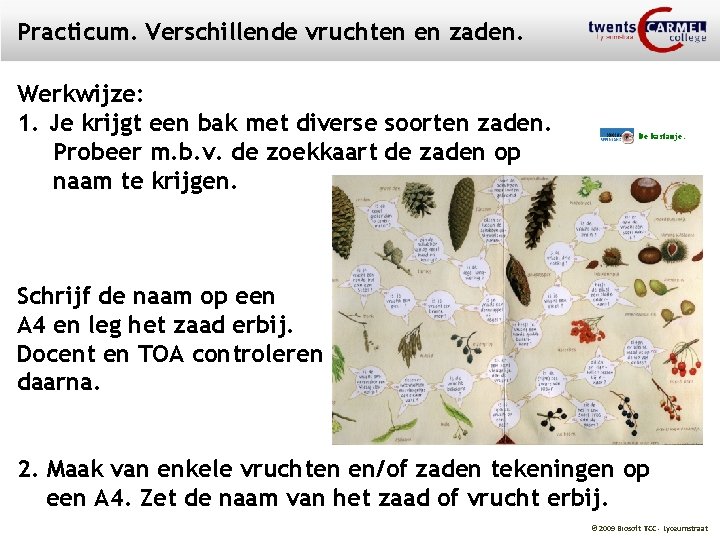 Practicum. Verschillende vruchten en zaden. Werkwijze: 1. Je krijgt een bak met diverse soorten