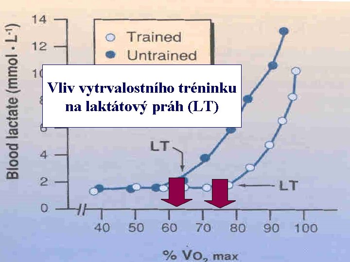 Vliv vytrvalostního tréninku na laktátový práh (LT) 