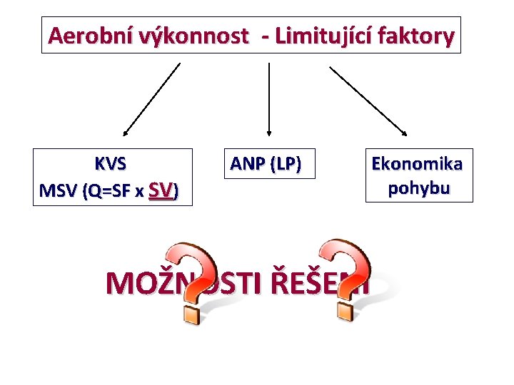 Aerobní výkonnost - Limitující faktory KVS MSV (Q=SF x SV) ANP (LP) Ekonomika pohybu