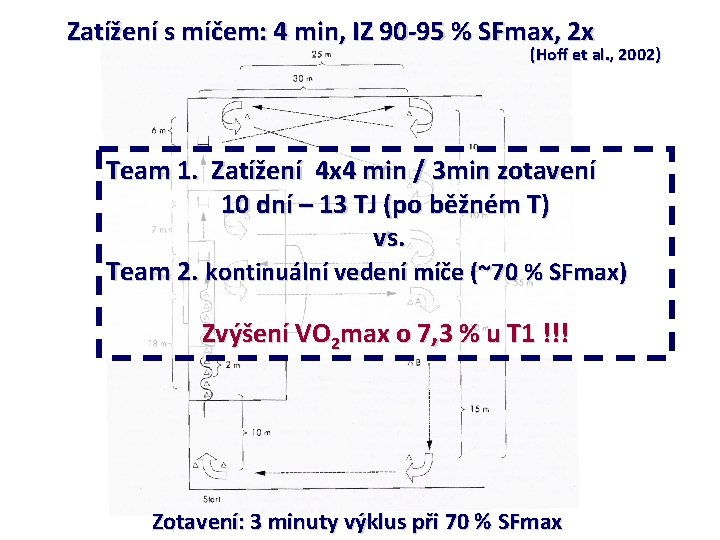 Zatížení s míčem: 4 min, IZ 90 -95 % SFmax, 2 x (Hoff et