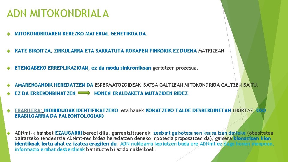 ADN MITOKONDRIALA MITOKONDRIOAREN BEREZKO MATERIAL GENETIKOA DA. KATE BIKOITZA, ZIRKULARRA ETA SARRATUTA KOKAPEN FINKORIK