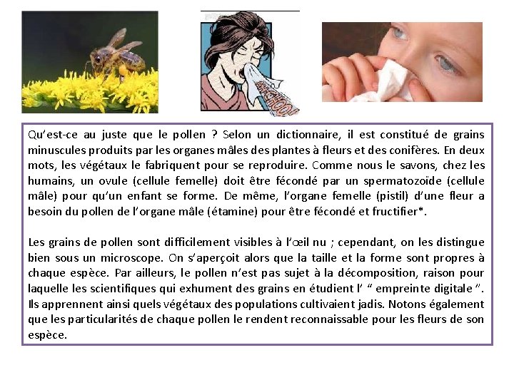 Qu’est-ce au juste que le pollen ? Selon un dictionnaire, il est constitué de