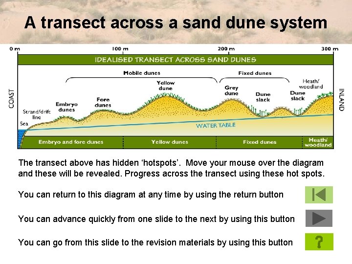 A transect across a sand dune system The transect above has hidden ‘hotspots’. Move