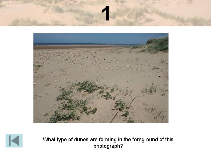 1 What type of dunes are forming in the foreground of this photograph? 