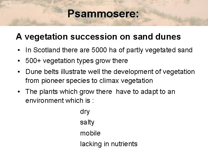 Psammosere: A vegetation succession on sand dunes • In Scotland there are 5000 ha