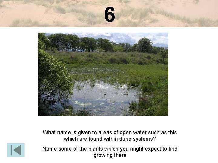 6 What name is given to areas of open water such as this which