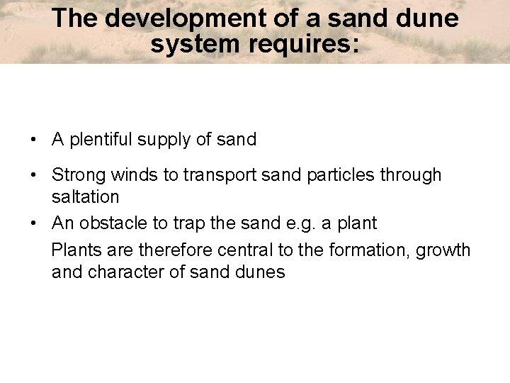 The development of a sand dune system requires: • A plentiful supply of sand